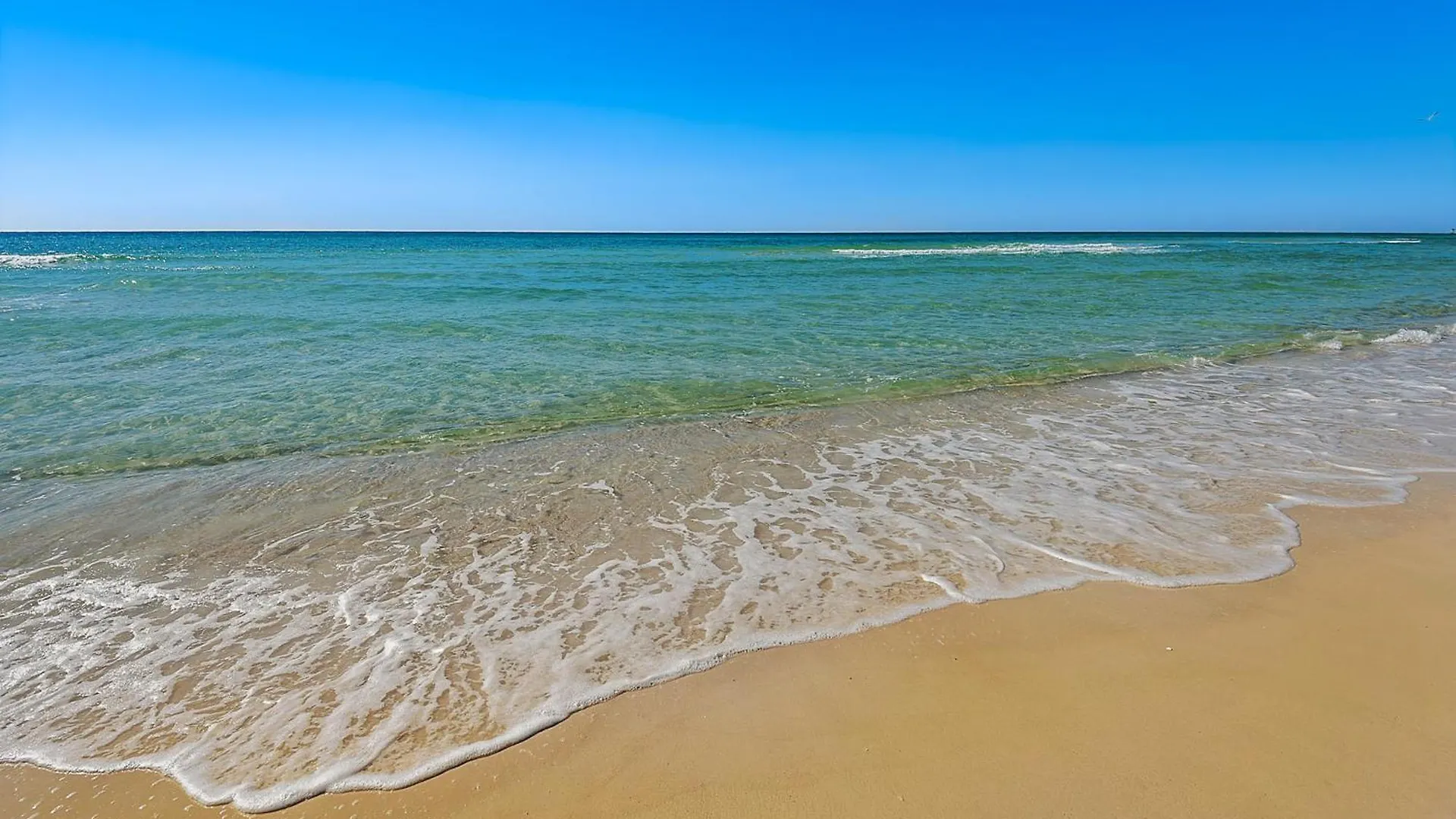 Grand Panama Tower Apartment Panama City Beach